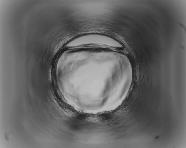 X0000099430299200806061026