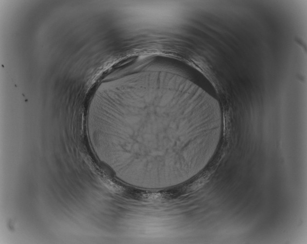 X0000099430301200806061026