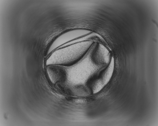 X0000099430303200806061026