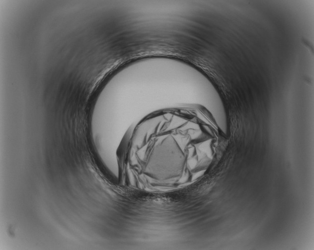 X0000099430304200806061026