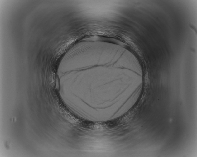 X0000099430305200806061026