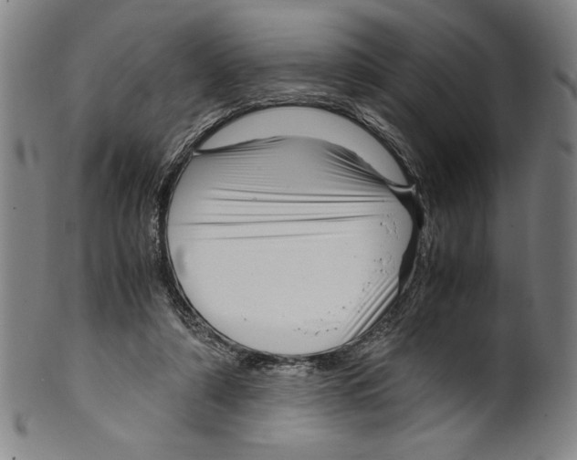 X0000099430306200806061026