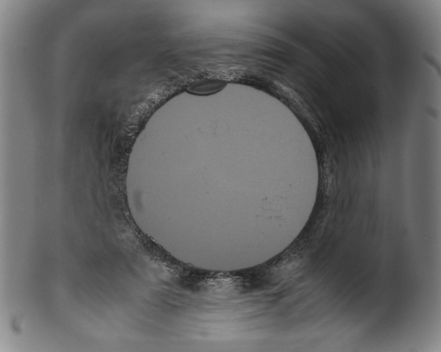 X0000099430307200806061026