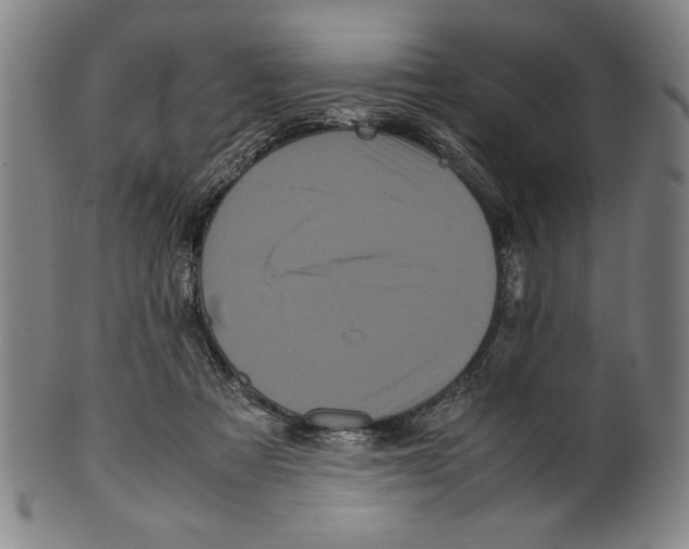 X0000099430313200806061026