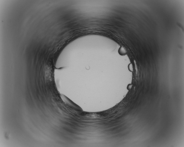 X0000099430316200806061026