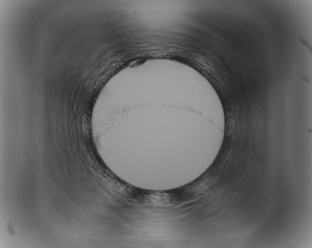 X0000099430317200806061026