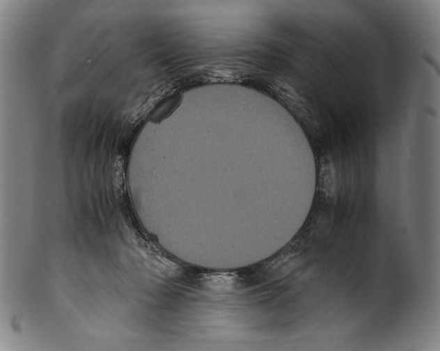 X0000099430318200806061026