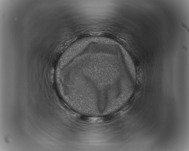 X0000099430319200806061025