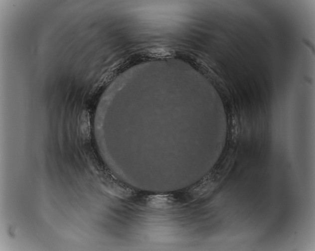 X0000099430320200806061025