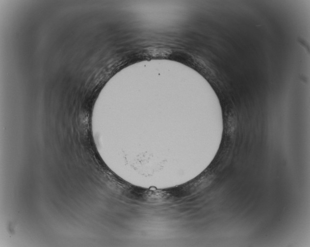 X0000099430321200806061025