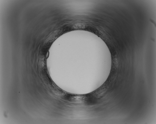 X0000099430323200806061025