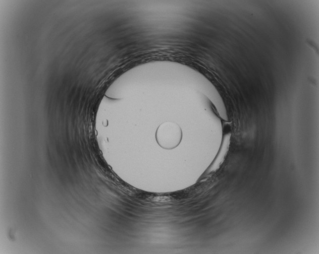 X0000099430324200806061025