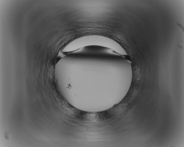 X0000099430325200806061025