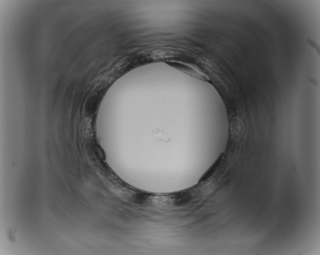 X0000099430327200806061025