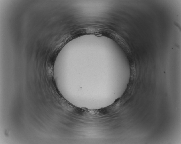 X0000099430329200806061025