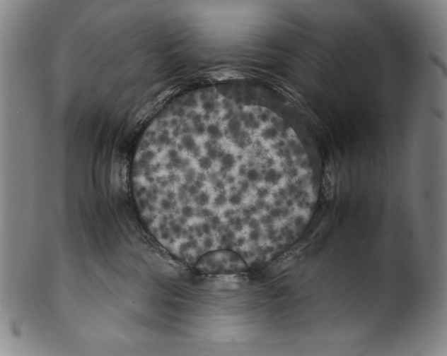 X0000099430330200806061025