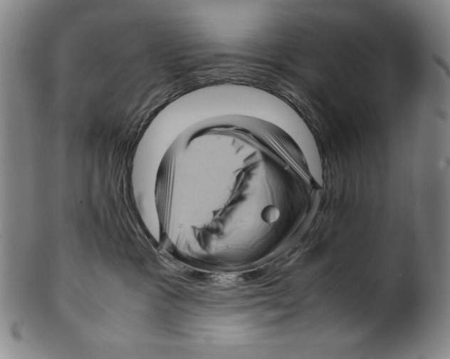 X0000099430333200806061025