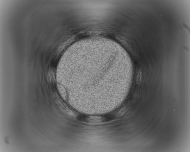 X0000099430335200806061025