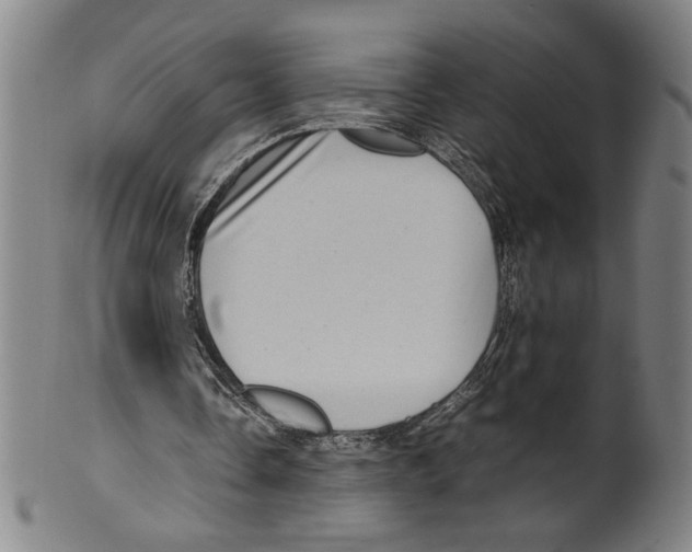 X0000099430338200806061025