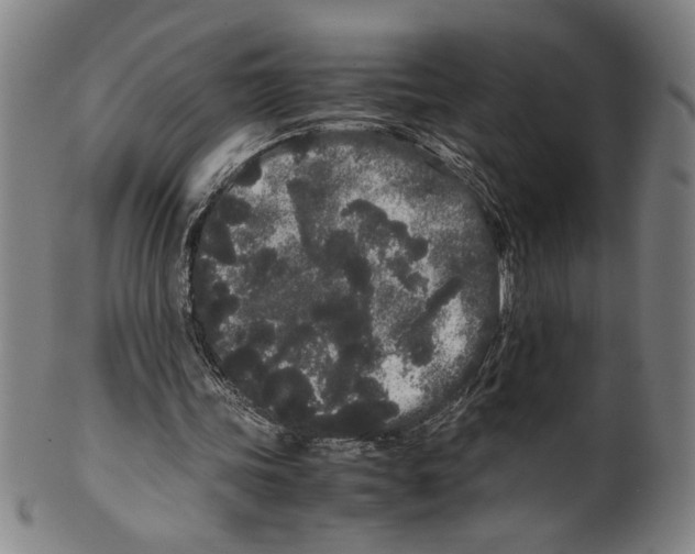 X0000099430339200806061025