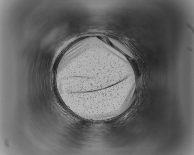 X0000099430342200806061025