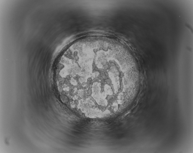 X0000099430343200806061025