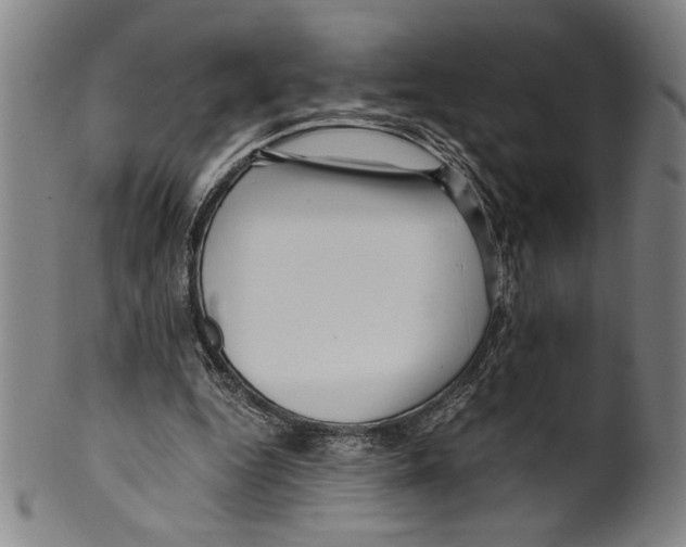 X0000099430344200806061025