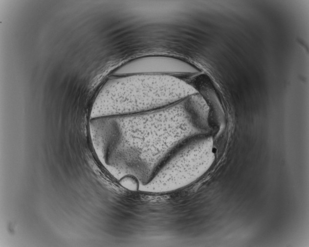 X0000099430345200806061025