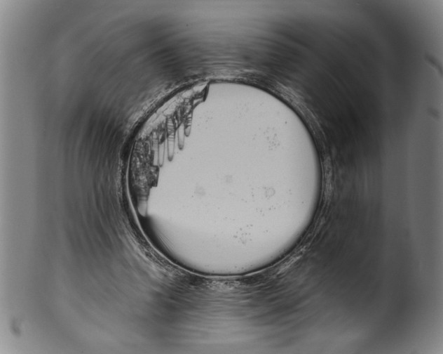 X0000099430346200806061025