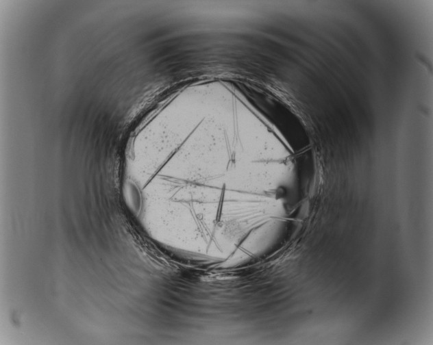 X0000099430347200806061025