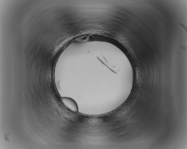 X0000099430348200806061025