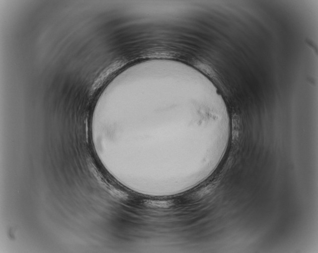 X0000099430349200806061025