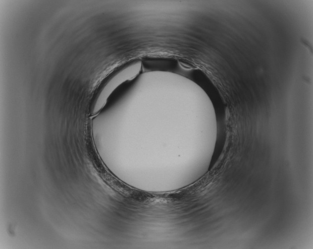 X0000099430352200806061025