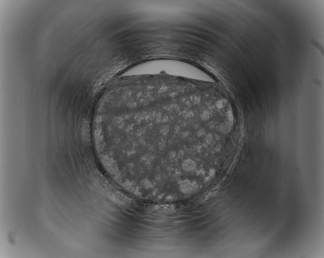 X0000099430353200806061025