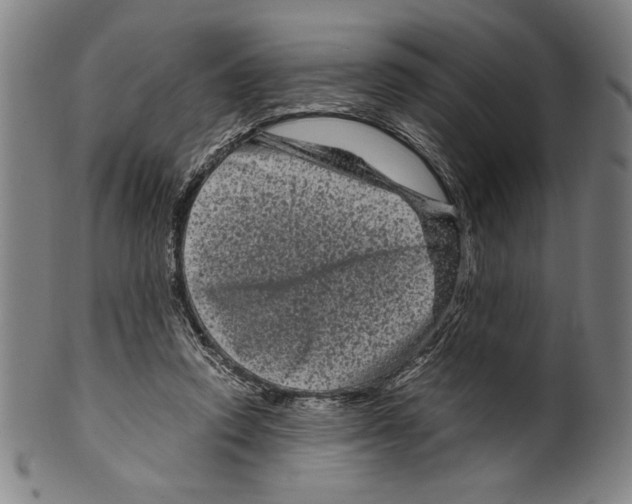 X0000099430354200806061025