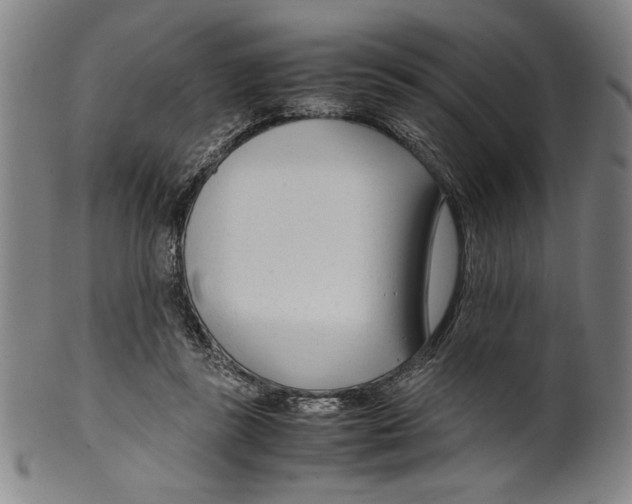 X0000099430355200806061025