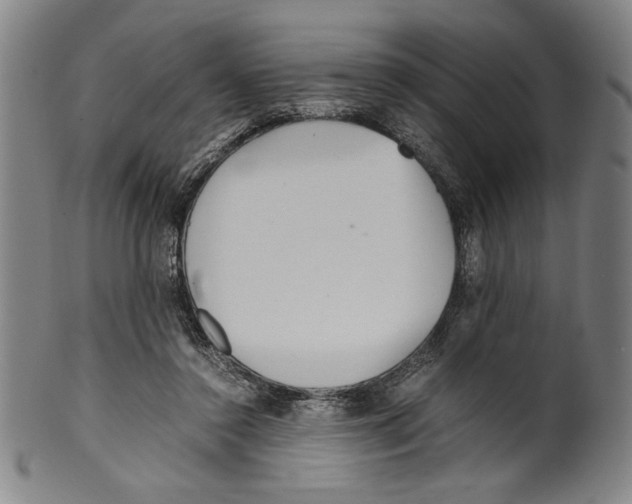 X0000099430356200806061025