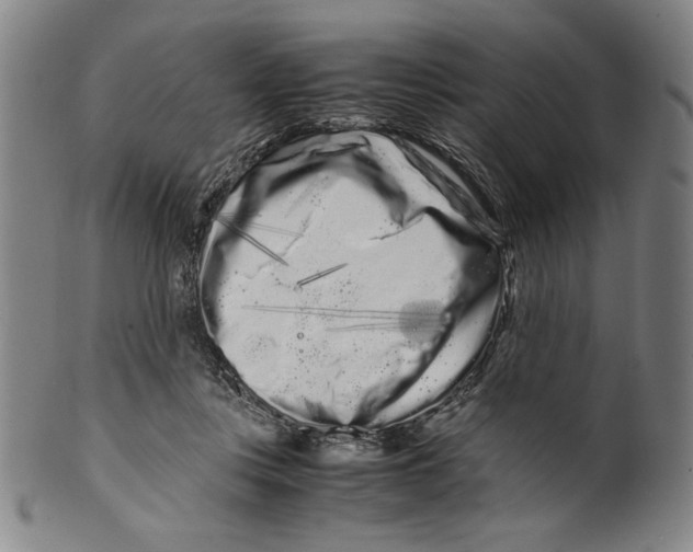 X0000099430359200806061025