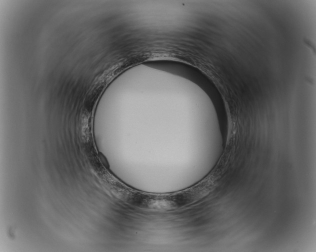 X0000099430360200806061025