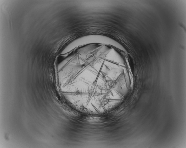 X0000099430361200806061025