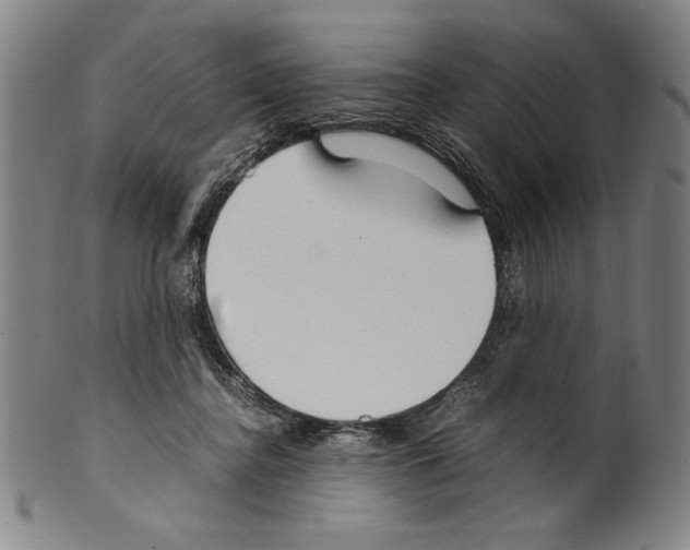 X0000099430364200806061025