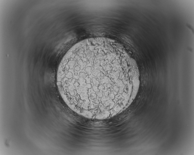 X0000099430365200806061025