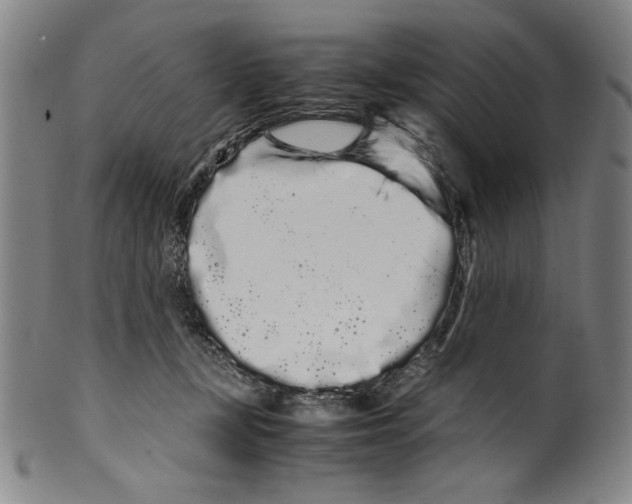 X0000099430367200806061025