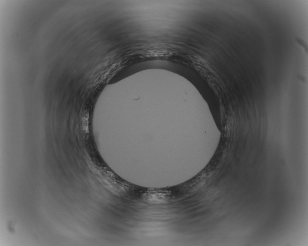 X0000099430368200806061025