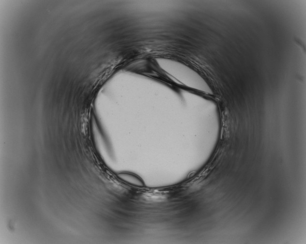 X0000099430369200806061025