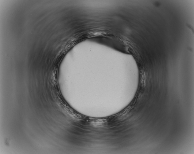 X0000099430373200806061025