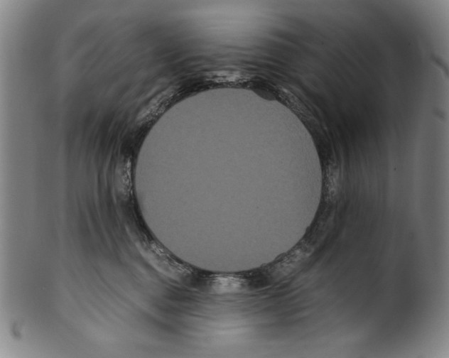 X0000099430376200806061025