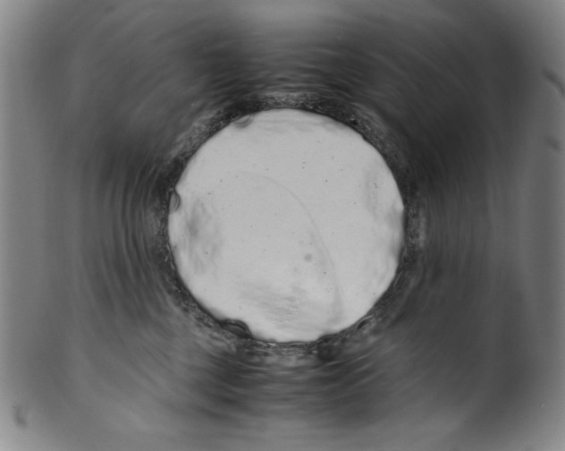 X0000099430377200806061025