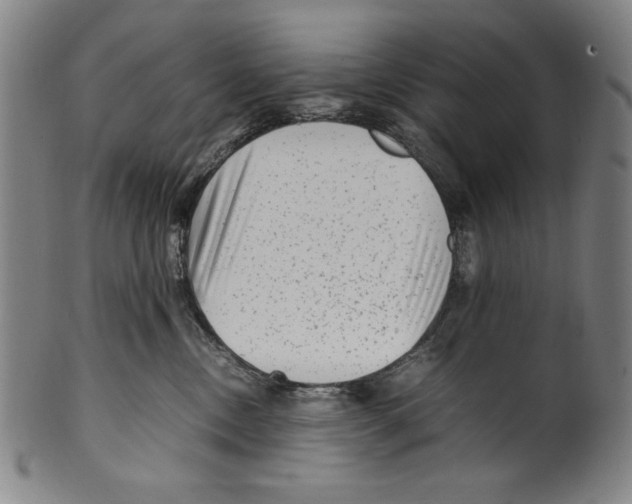 X0000099430378200806061025