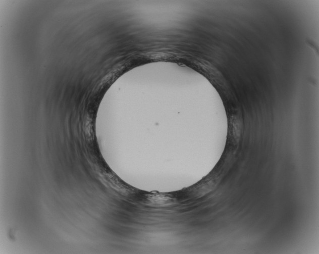 X0000099430380200806061025